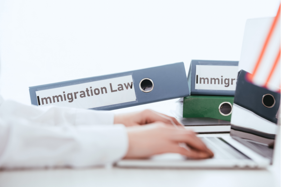 Immigration Law and Resources